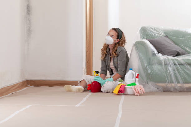 Reliable Commercial Mold Remediation contractor in Mount Arlington, NJ by 24 Hour Mold Removal